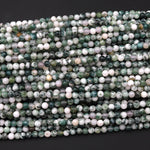 Natural Green Tree Agate 4mm Smooth Round Beads 15.5" Strand
