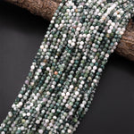Natural Green Tree Agate 4mm Smooth Round Beads 15.5" Strand