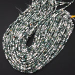 Natural Green Tree Agate 4mm Smooth Round Beads 15.5" Strand