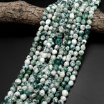 Natural Green Tree Agate Freeform Pebble Nugget Beads Gemstone 15.5" Strand