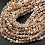 Natural Brown Mother of Pearl Beads Iridescent Shell 15.5" Strand