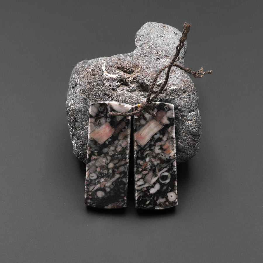 Natural Crinoid Fossil Flat Rectangle Earring Pair Cabochon Cab Drilled Matched Gemstone Bead Pair A2