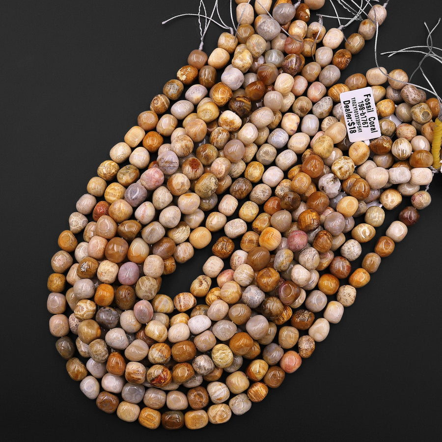 Natural Fossil Coral Beads Freeform Pebble Nuggets 15.5" Strand