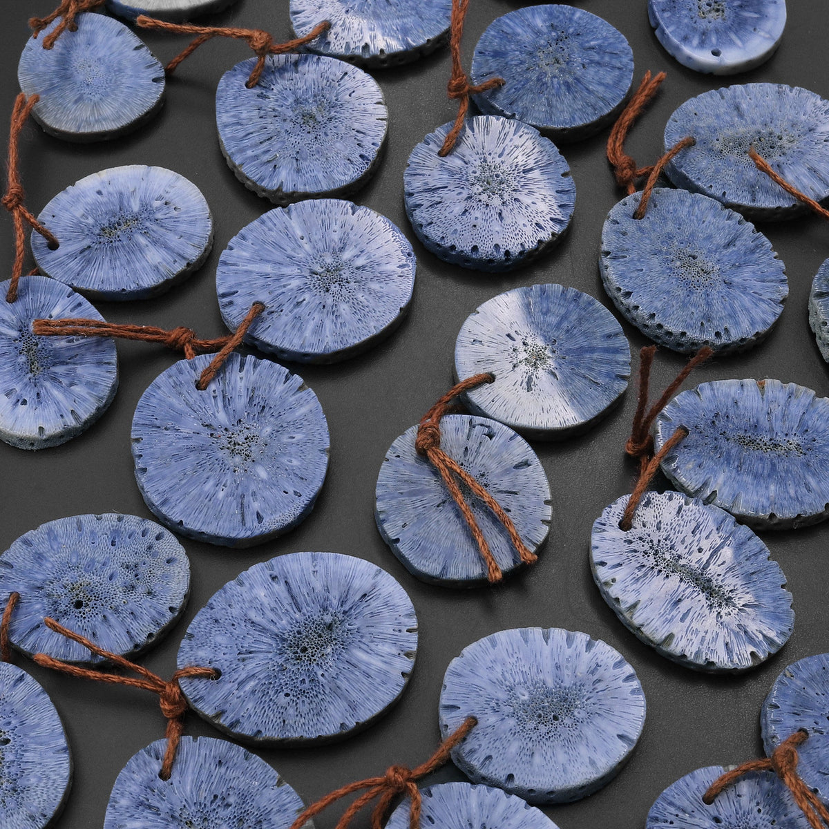 Natural Blue Sponge Coral Earring Pair Cabochon Cab Circle Coin Gemsto