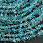 Natural Apatite Freeform Chip Nugget Beads 15.5" Strand