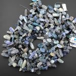 Natural Kyanite Freeform Top Side Drilled Pebble Petal Nugget Beads 15.5" Strand