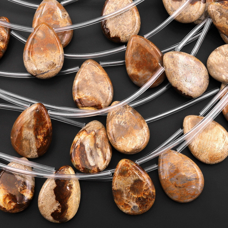 Natural Chocolate Brown Fossil Coral Beads Side Drilled Teardrop Gemstone 8" Strand
