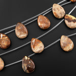 Natural Chocolate Brown Fossil Coral Beads Side Drilled Teardrop Gemstone 8" Strand