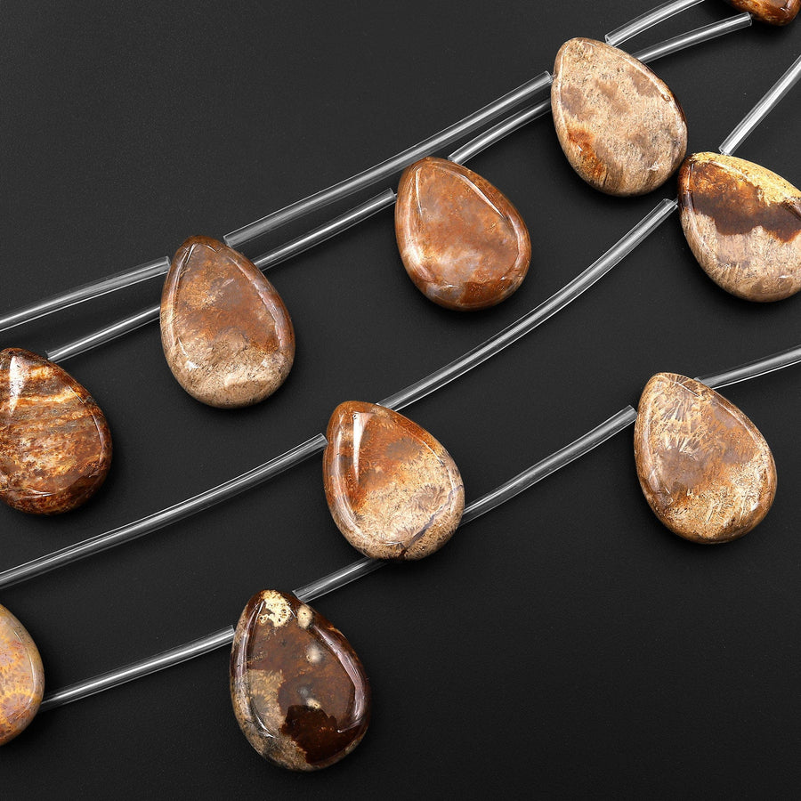 Natural Chocolate Brown Fossil Coral Beads Side Drilled Teardrop Gemstone 8" Strand