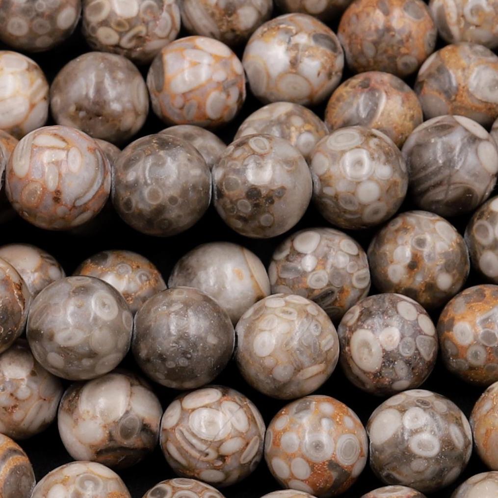 Natural Crinoid Fossil Beads Gemstone Wholesale Intrinsic Trading