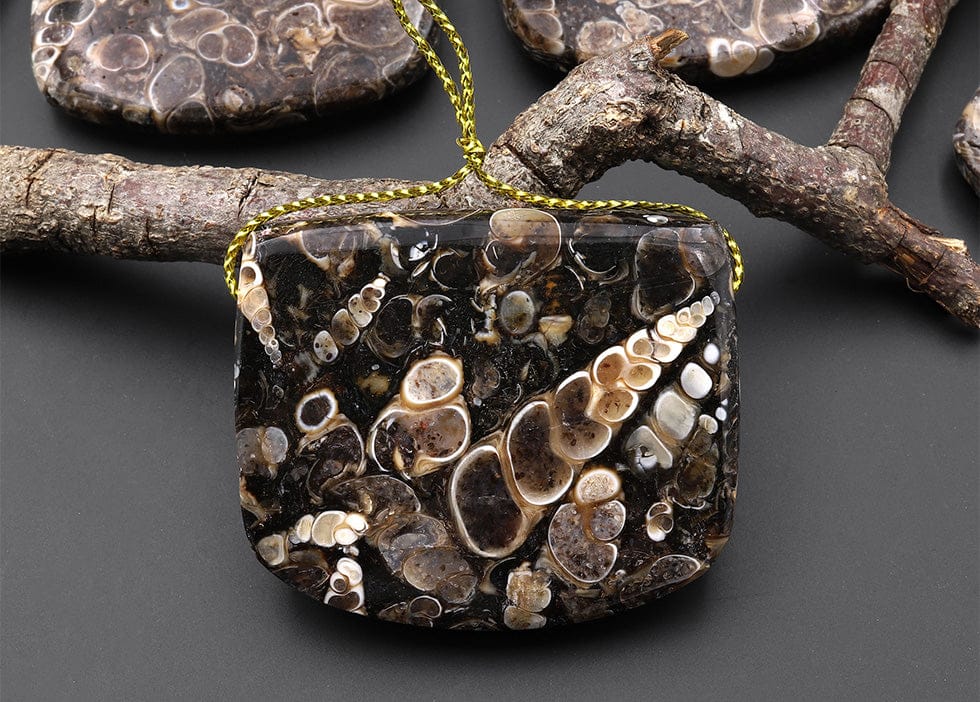 Natural Turritella Agate Rectangle Saddle Locket Shape Pendant Real Fossil from Wyoming USA
