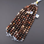 AAA Large Hole Beads 2mm 3mm Drill Natural Petrified Wood 6mm 8mm 10mm Round Beads 8" Strand