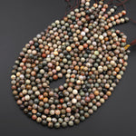 Genuine Natural Dinosaur Coprolite Aka Dinosaur Dung 4mm 6mm 8mm 10mm Round Beads 15.5" Strand