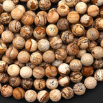 Faceted Natural Picture Jasper 4mm 6mm 8mm 10mm 12mm 14mm Round Beads Desert Jasper Earthy Yellow Brown Jasper 15.5" Strand