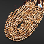 Faceted Natural Picture Jasper 4mm 6mm 8mm 10mm 12mm 14mm Round Beads Desert Jasper Earthy Yellow Brown Jasper 15.5" Strand