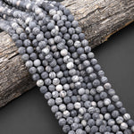 Matte Natural Black Spider Web Jasper 4mm 6mm 8mm 10mm Round Beads 15.5" Strand