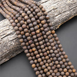 Matte Natural Bronzite 4mm 6mm 8mm10mm Round Beads 15.5" Strand