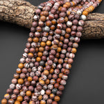 Natural Sonora Dendritic Rhyolite 4mm 6mm 8mm Smooth Round Beads 15.5" Strand