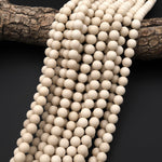Matte Fossil Jasper River Stone 4mm 6mm 8mm 10mm 12mm Round Beads 15.5" Strand