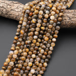 Rare Natural Bronze Tiger's Eye W/ Quartz Matrix 6mm 8mm Round Beads 15.5" Strand