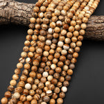 Natural Picture Jasper 4mm 6mm 8mm 10mm Smooth Round Beads Aka Desert Jasper 15.5" Strand