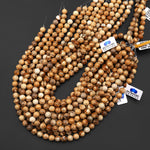 Natural Picture Jasper 4mm 6mm 8mm 10mm Smooth Round Beads Aka Desert Jasper 15.5" Strand