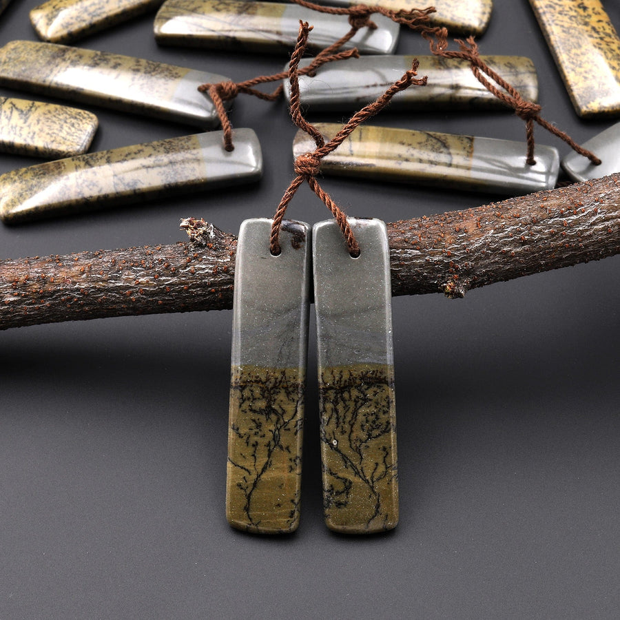 Natural Wild Horse Picture Jasper Rectangle Earring Pair Cabochon Cab Drilled Matched Gemstone Bead Pair