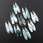 Natural Green Tree Agate Earring Pair Drilled Teardrop Cabochon Cab Matched Gemstone Beads