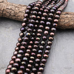 Large Genuine Bronze Freshwater Pearl 10mm Rondelle Beads  Shimmery Iridescent Classic Pearl 15.5" Strand