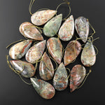 Real Genuine Natural Dinosaur Coprolite Dung Teardrop Pendant Side Drilled Gemstone from Utah