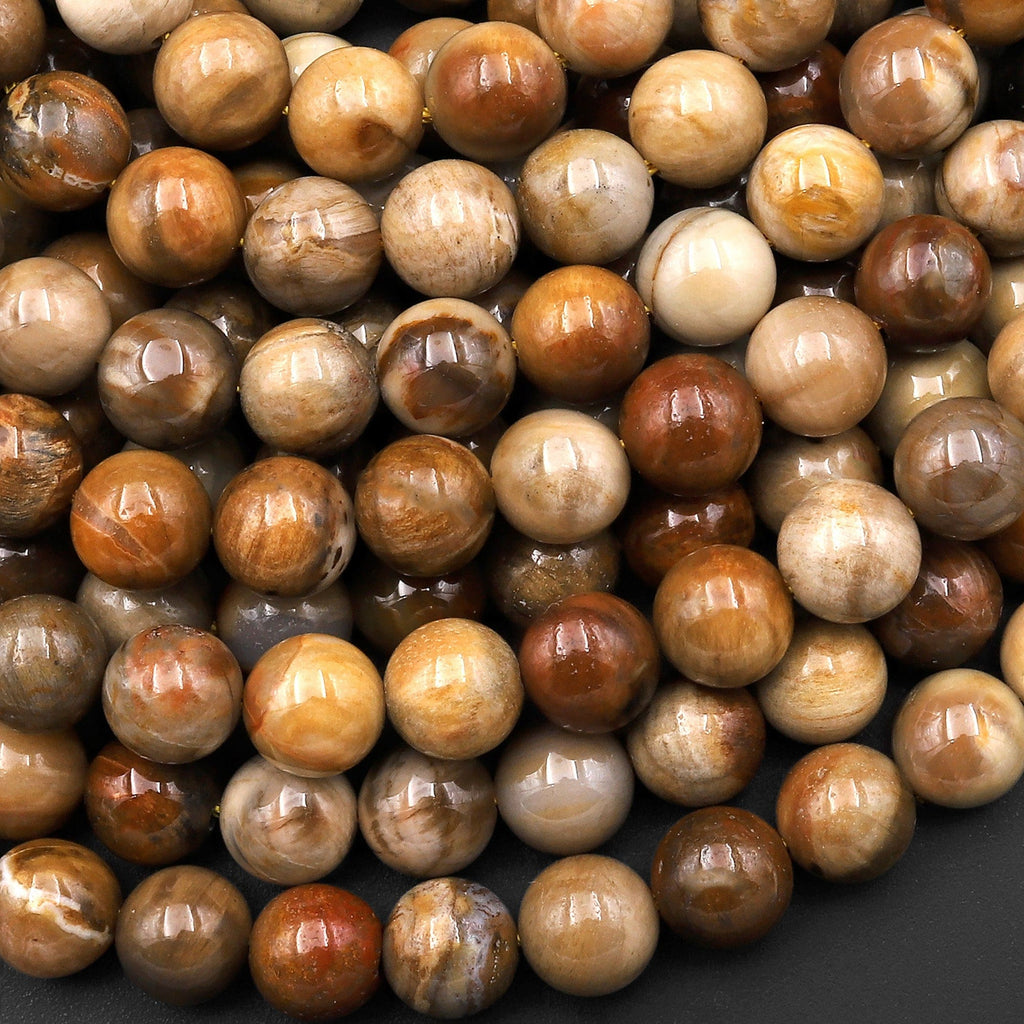 Natural Petrified Wood Beads 4mm 6mm 8mm 10mm Round Beads Earthy Brown Beige Fossil Round Beads 15.5" Strand