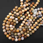 Natural Bamboo Agate 14mm Round Beads Natural Creamy White Yellow Agate 15.5" Strand