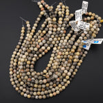Natural Fossil Coral 6mm 8mm Round Organic Earthy Beads Grey Brown Tan Beige Yellow Beads 15.5" Strand