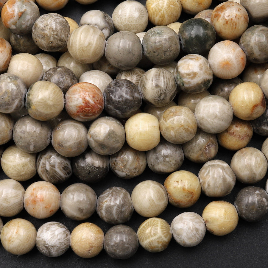 Natural Fossil Coral 6mm 8mm Round Organic Earthy Beads Grey Brown Tan Beige Yellow Beads 15.5" Strand