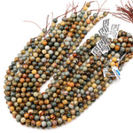 Natural Owyhee Picture Jasper Beads 4mm 6mm 8mm 10mm 12mm Smooth Polished Round Beads 15.5" Strand