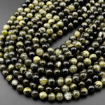 AAA Natural Green Cat's Eye Tourmaline Round Beads 6mm 8mm 10mm 12mm 14mm 15.5" Strand