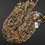Faceted Natural Owyhee Picture Jasper Coin Beads 6mm 8mm 10mm 15.5" Strand