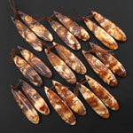 Natural Bird's Eye Rhyolite Aka Orbicular Jasper Teardrop Earrings Drilled Matched Gemstone Bead Pair