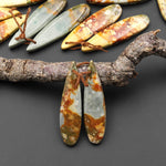 Natural Owyhee Picture Jasper Teardrop Earring Pair Drilled Matched Gemstone Beads From Oregon