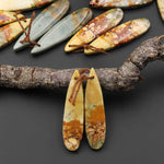 Natural Owyhee Picture Jasper Teardrop Earring Pair Drilled Matched Gemstone Beads From Oregon