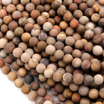 Matte Natural Petrified Wood Beads 4mm 6mm 8mm 10mm Round Beads Earthy Brown Tan Beige Taupe Natural Stone 15.5" Strand