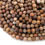 Matte Natural Petrified Wood Beads 4mm 6mm 8mm 10mm Round Beads Earthy Brown Tan Beige Taupe Natural Stone 15.5" Strand