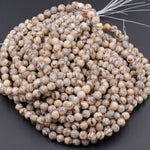 Natural Graphic Feldspar Smooth Plain 6mm 8mm 10mm Round Beads Earth Tones Beads 15.5" Strand