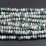 Natural Green Tree Agate 6mm 8mm Rondelle Smooth Beads 15.5" Strand