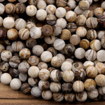 Matte Natural Petrified Wooden Opal Beads 4mm 6mm 8mm 10mm 12mm Round Beads Earthy Beige Brown Yellow Gray Natural Stone 15.5" Strand