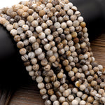 Matte Natural Petrified Wooden Opal Beads 4mm 6mm 8mm 10mm 12mm Round Beads Earthy Beige Brown Yellow Gray Natural Stone 15.5" Strand