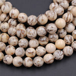 Natural Graphic Feldspar Smooth Plain 6mm 8mm 10mm Round Beads Earth Tones Beads 15.5" Strand