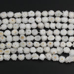 Full Strand Natural Solar Quartz Flower Slice Stalactite Flower Beads Drilled Freeform Daisy Flower Perfect for Earrings Beads 15.5" Strand