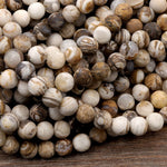 Matte Natural Petrified Wooden Opal Beads 4mm 6mm 8mm 10mm 12mm Round Beads Earthy Beige Brown Yellow Gray Natural Stone 15.5" Strand