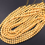 From Burma Stunning Natural Burmese Yellow Jade Round Beads 8mm 10mm 15.5" Strand